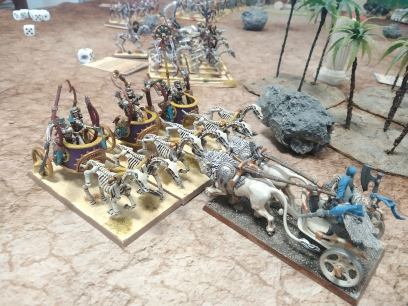 Warhammer The Old World  Img_4427