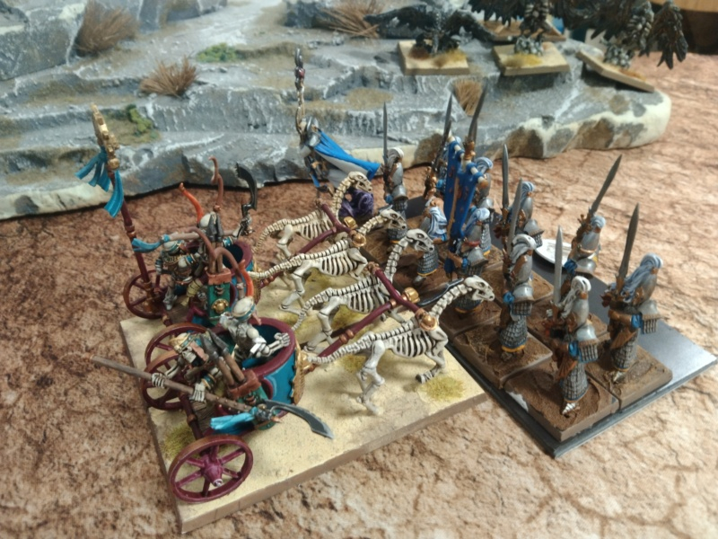 Warhammer The Old World  Img_4429