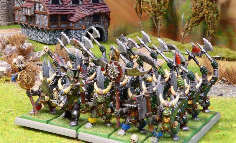 Warhammer ! Une armée par semaine ! P1270015