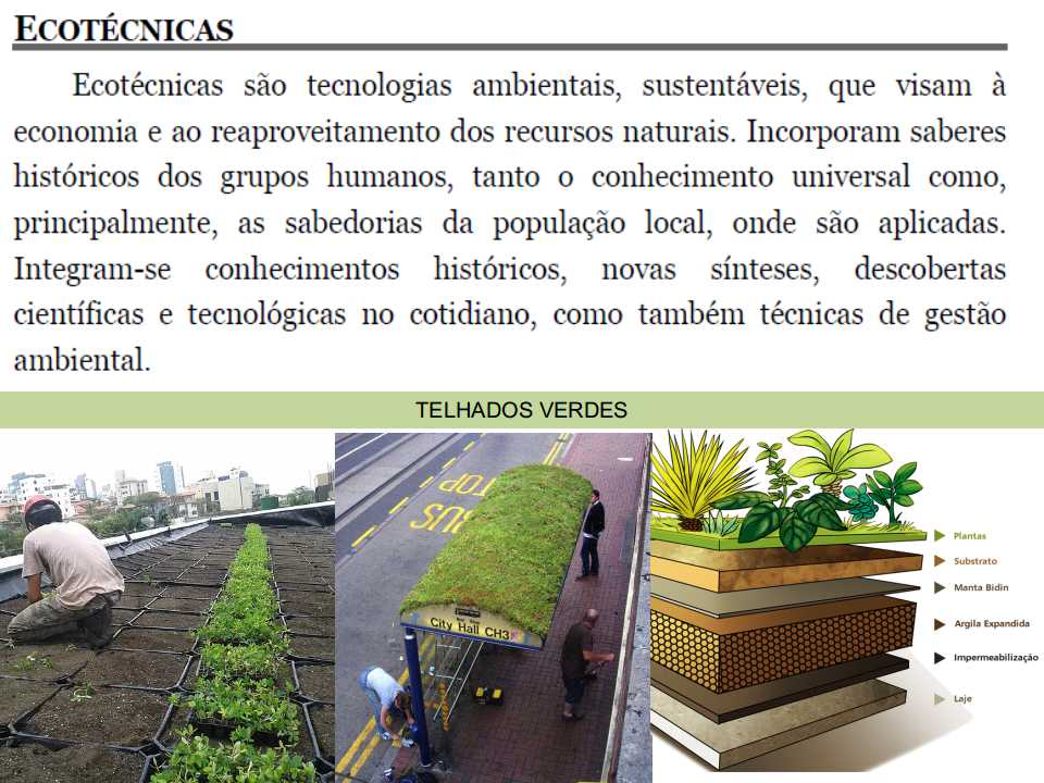 CONFERÊNCIA NACIONAL DO MEIO AMBIENTE NA ESCOLA - ATUALIZAÇÃO DA COMVIDA RSC Slide212