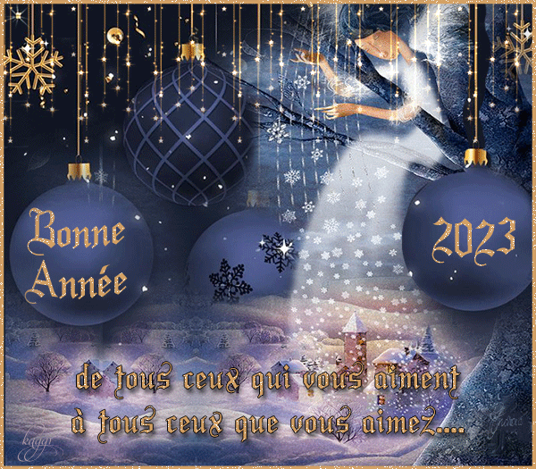 BONNE ANNEE 2023 ! Bonne-10