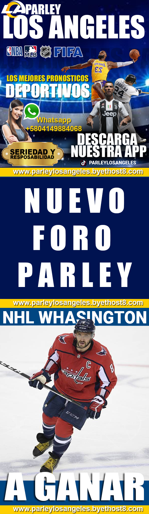 REGALO DEL DIA EN LA NHL (NUEVO FORO PARLEY ) 27022016