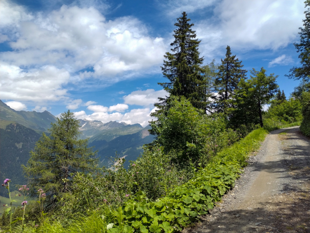 Val Bedretto (Tessin, Suisse) Img_2036