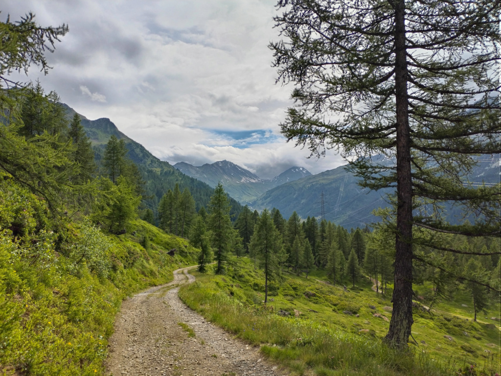 Val Bedretto (Tessin, Suisse) Img_2060