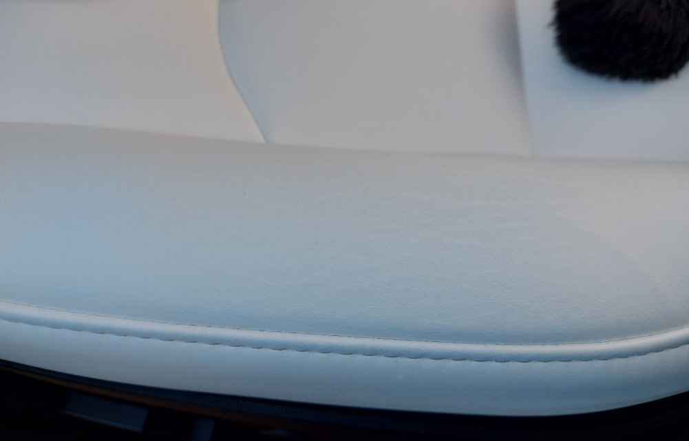 Pelle bianca su Tesla Image12