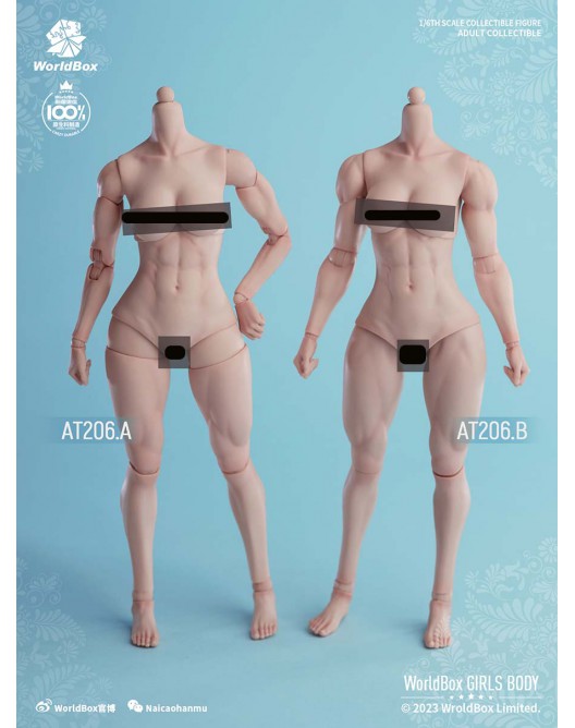 NEW PRODUCT: Worldbox AT206 Muscular Female body in 2 syles 0159