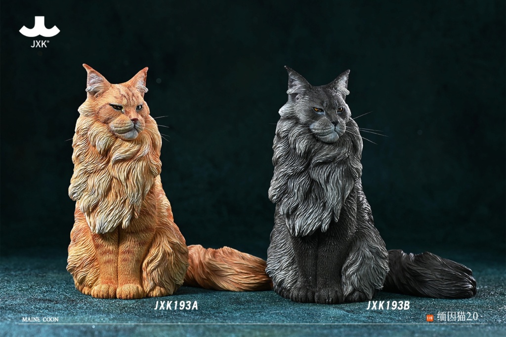 newproduct - NEW PRODUCT: JXK Studio: 1/6 scale Main Coon (cat) 2.0 (4 color options) 11283811