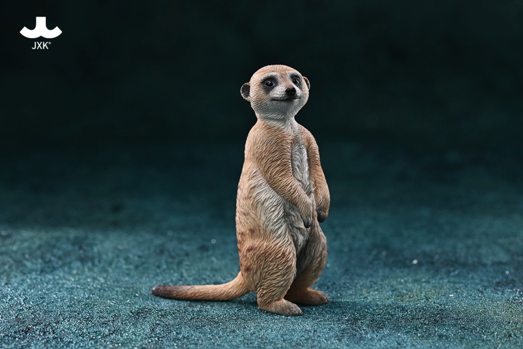 newproduct - NEW PRODUCT: JXK Studio: 1/6 scale Meerkat 11502911