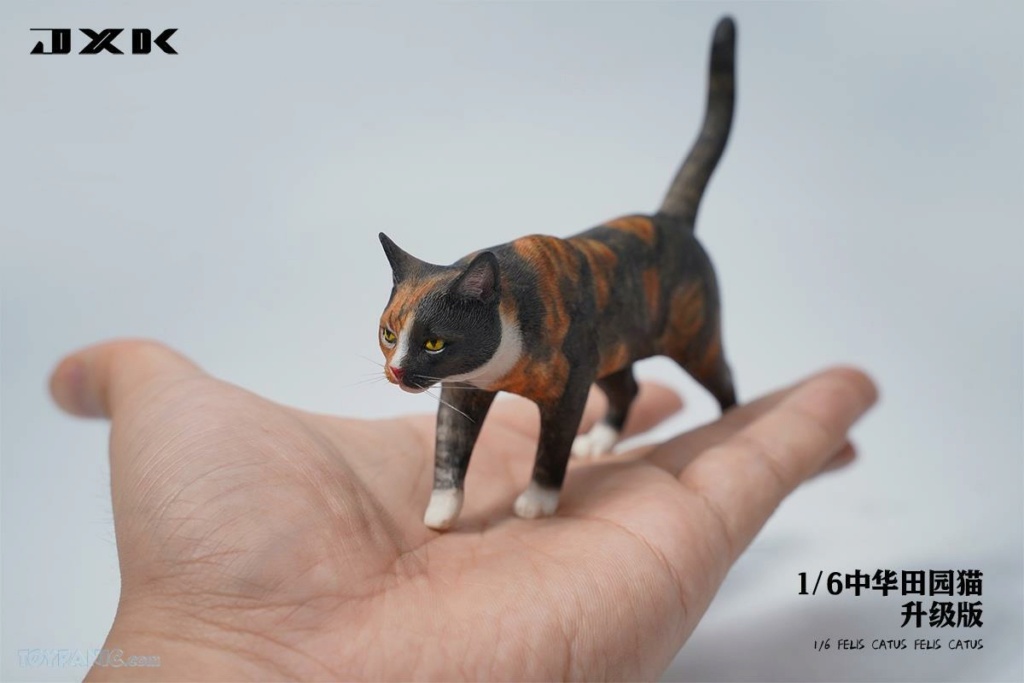 feline - NEW PRODUCT: JXKStudio: 1/6 scale Felis Catus (5 versions) 26520226