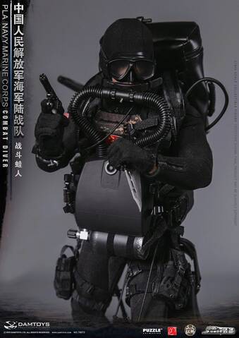 NEW PRODUCT: DAMToys: 1/6 Chinese People's Liberation Army NEW PRODUCT: DAMToys: 1/6 Chinese People's Liberation Army