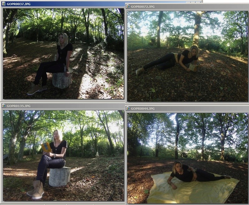 Manet Edouard, "Le déjeuner sur l'herbe" Allyss10