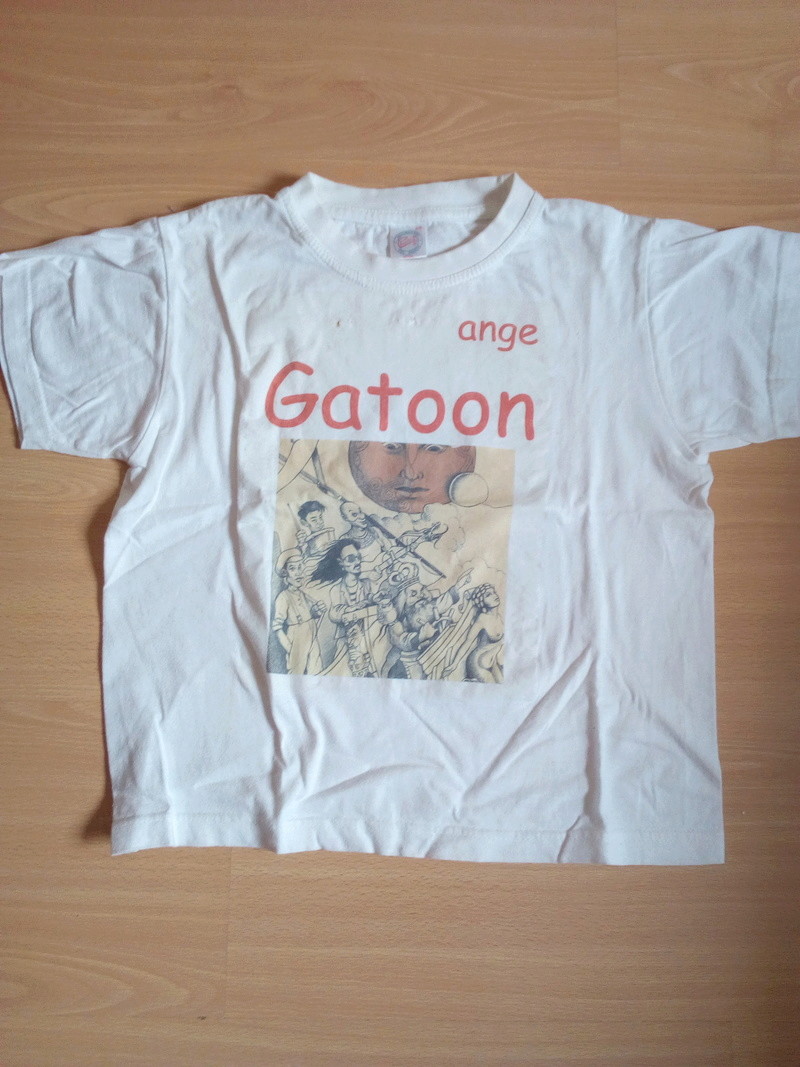 Les T-shirt, sweat-shirt et autres vétements angéliques Img_2011