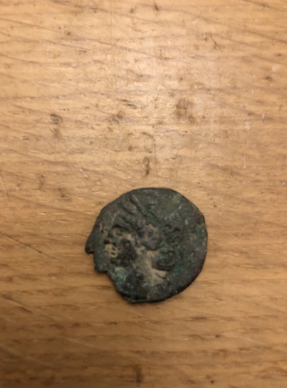 Bronze carthaginois ... 11698310