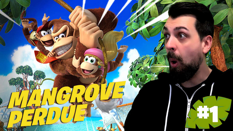 ejayremy - Donkey Kong Country: Tropical Freeze - Mangrove Perdue sur Nintendo Switch | Ejayremy 112