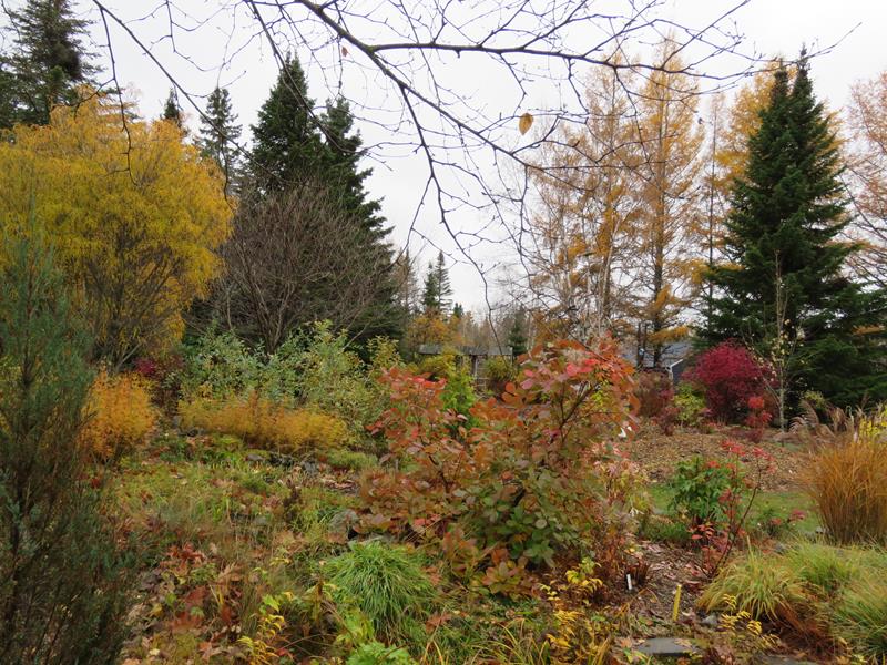 L'automne 2017 chez Tulipe - Page 3 Img_0614