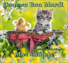 Ici on se dit bonjour  - Page 23 Images16