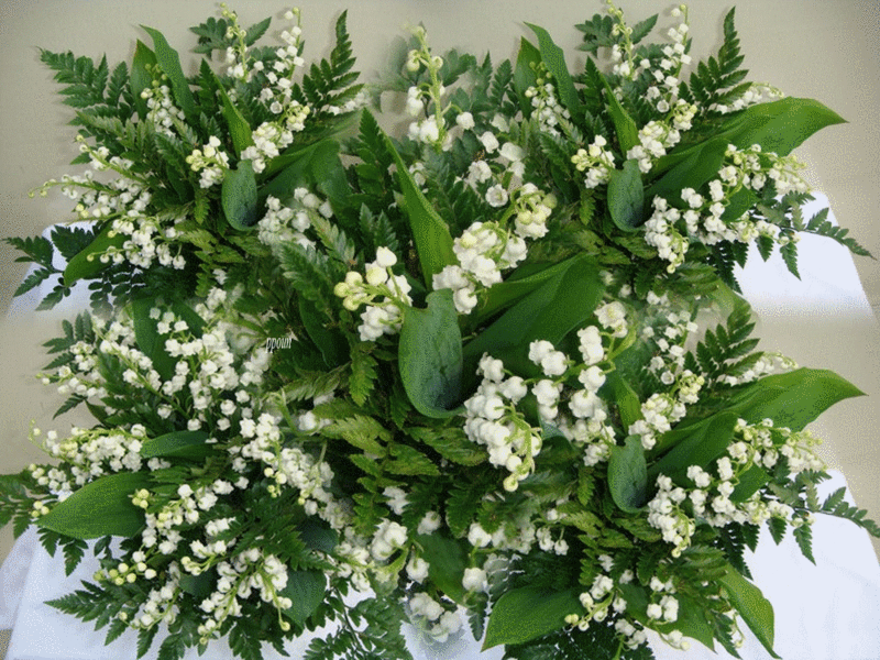 A LA UNE DE MAI/JUIN 2018... Muguet10