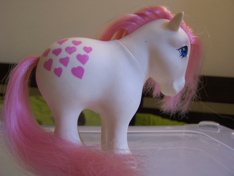 Mon Petit Poney / My Little Pony G1 (Hasbro) 1982/1995 100_7213