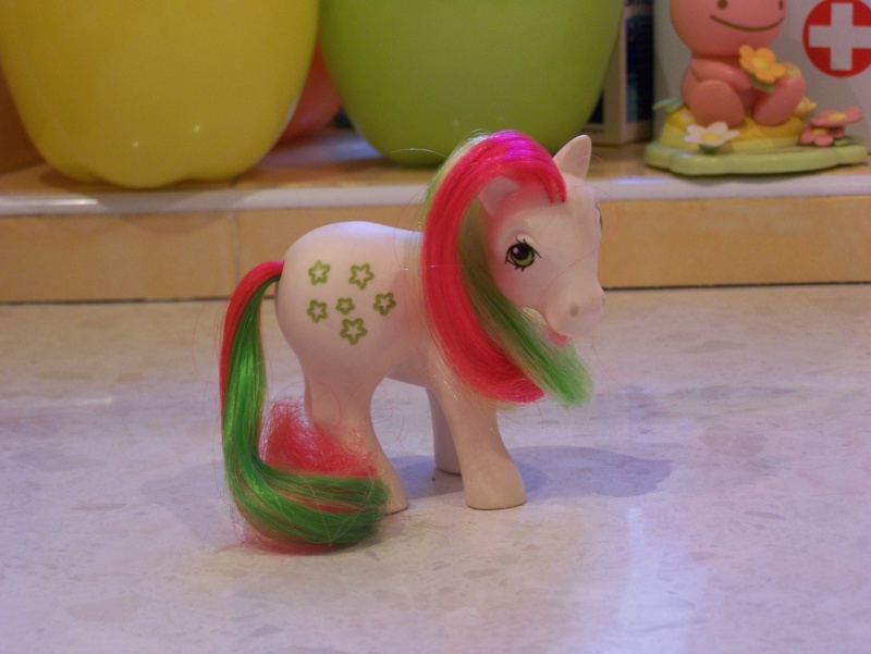 Mon Petit Poney / My Little Pony G1 (Hasbro) 1982/1995 100_7428