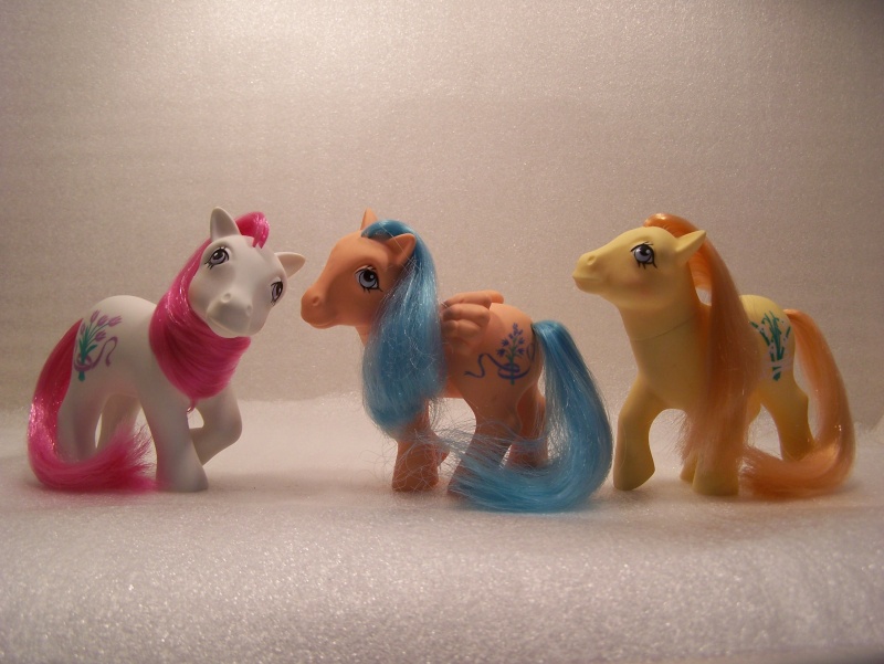 Mon Petit Poney / My Little Pony G1 (Hasbro) 1982/1995 An_8_030