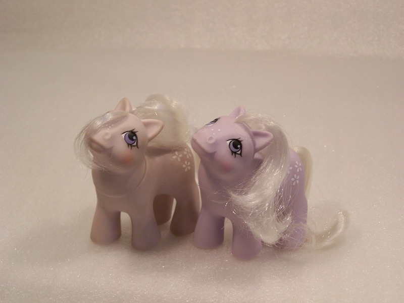 Mon Petit Poney / My Little Pony G1 (Hasbro) 1982/1995 Poney_44