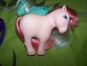 Mon Petit Poney / My Little Pony G1 (Hasbro) 1982/1995 100_6921