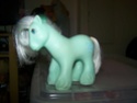 Mon Petit Poney / My Little Pony G1 (Hasbro) 1982/1995 100_7026