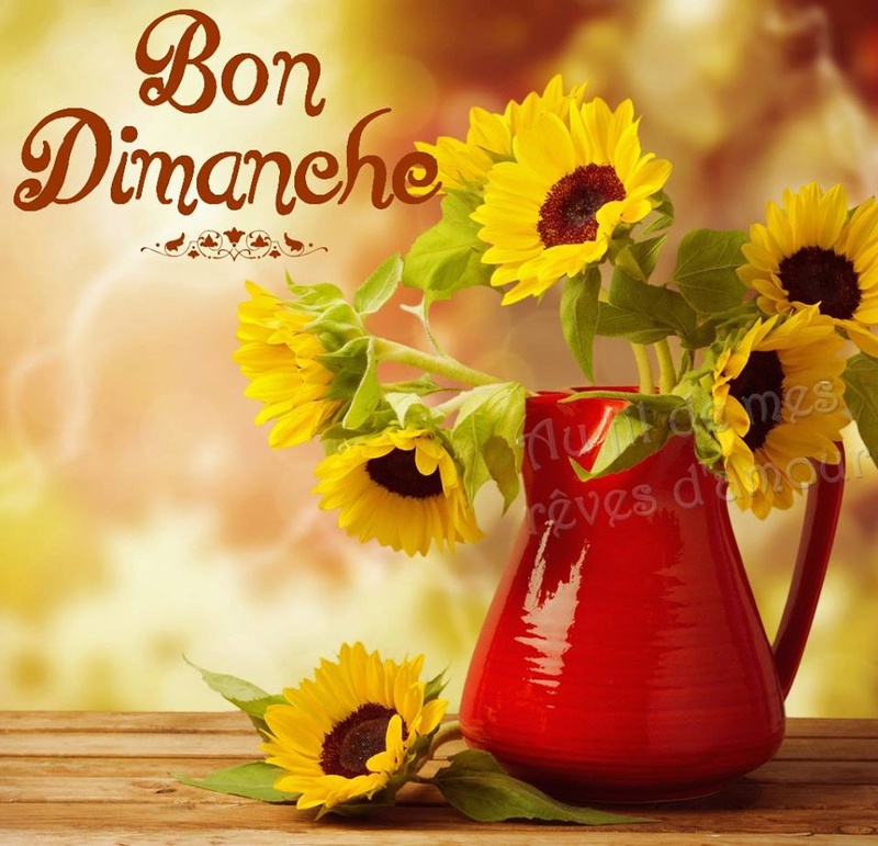 Bonjour / Bonsoir de juin 2018 Dimanc11