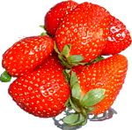 La fraise Fraise11