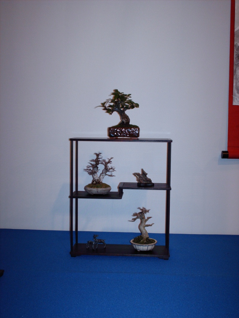 Noelanders trophee X, janvier 2009 04shoh10