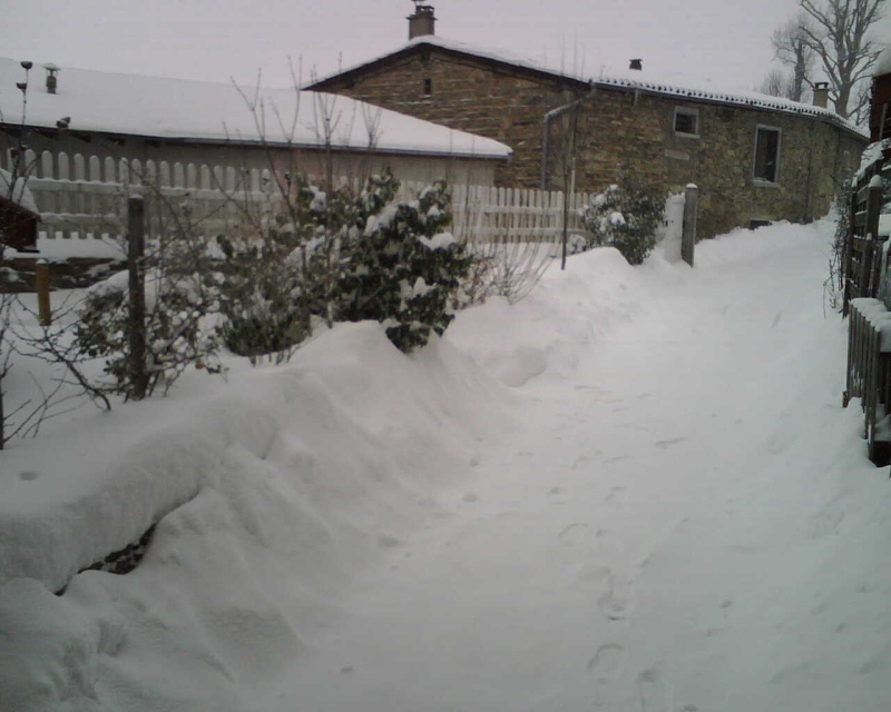 Froid et neige, février 2010 Img00610