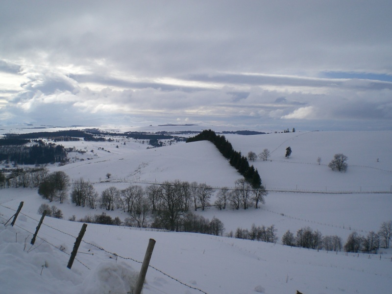 Février sous la neige à Allanche Cimg6229