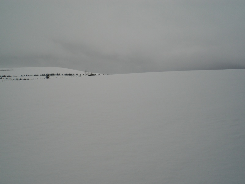 Février sous la neige à Allanche Cimg6315