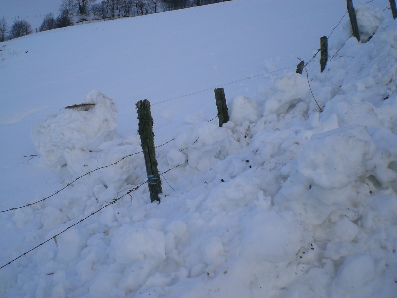 Février sous la neige à Allanche Cimg6318