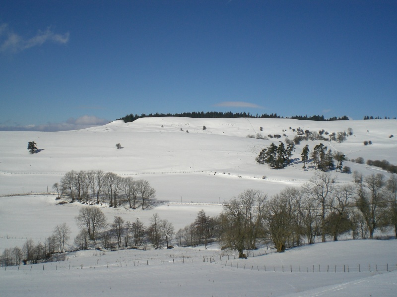 Février sous la neige à Allanche Cimg6321