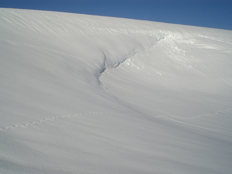 Février sous la neige à Allanche Cimg6327