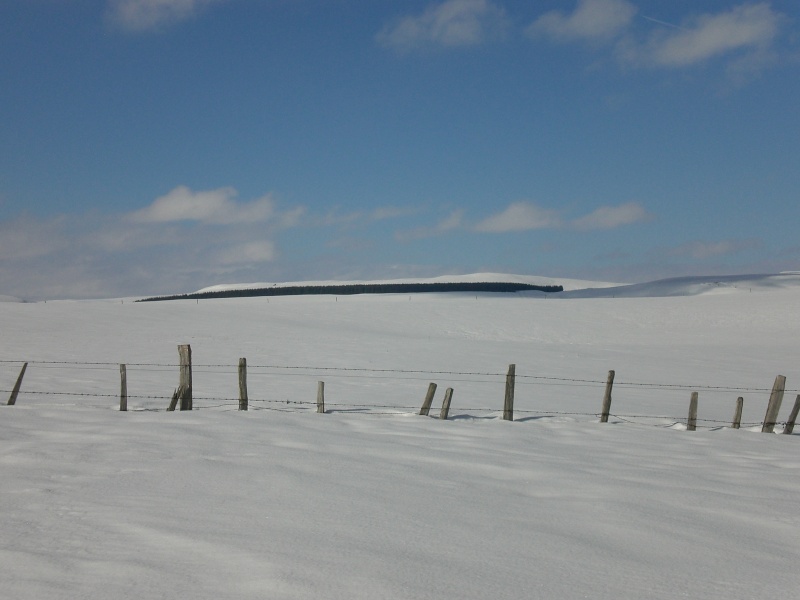 Février sous la neige à Allanche Cimg6329