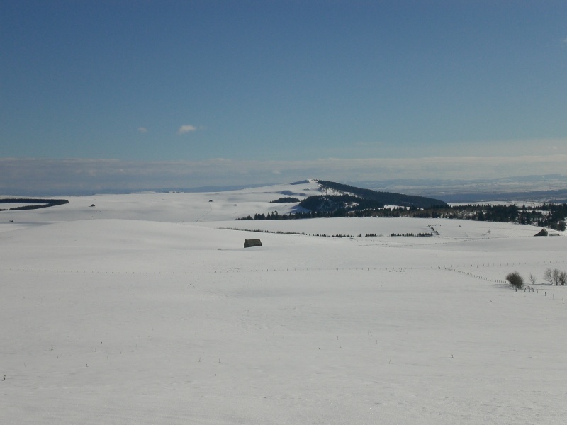 Février sous la neige à Allanche Cimg6330