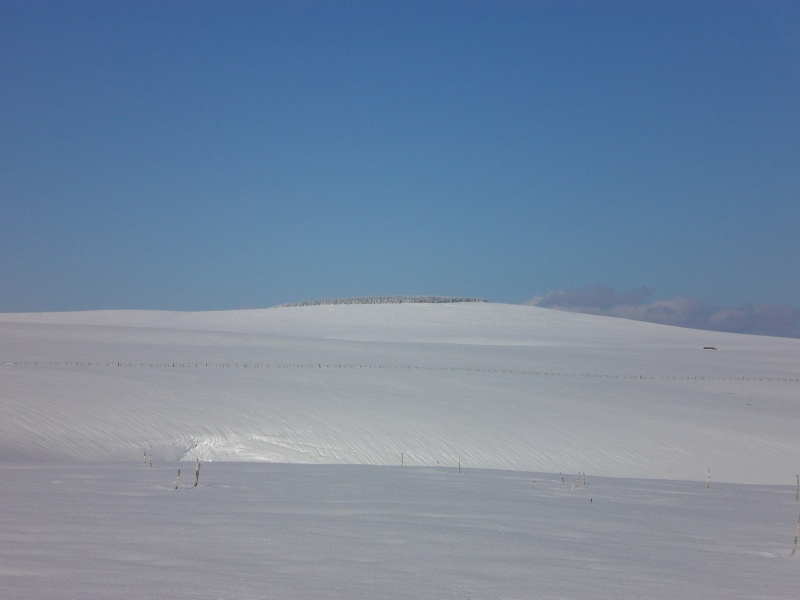 Février sous la neige à Allanche Cimg6331