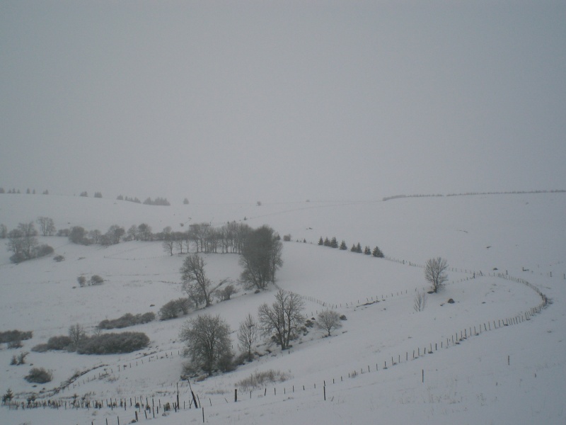 Février sous la neige à Allanche Cimg6336