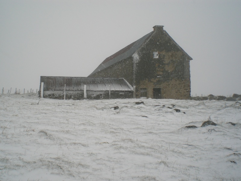 Le Cézallier en Octobre et Novembre 2010 Cimg8231