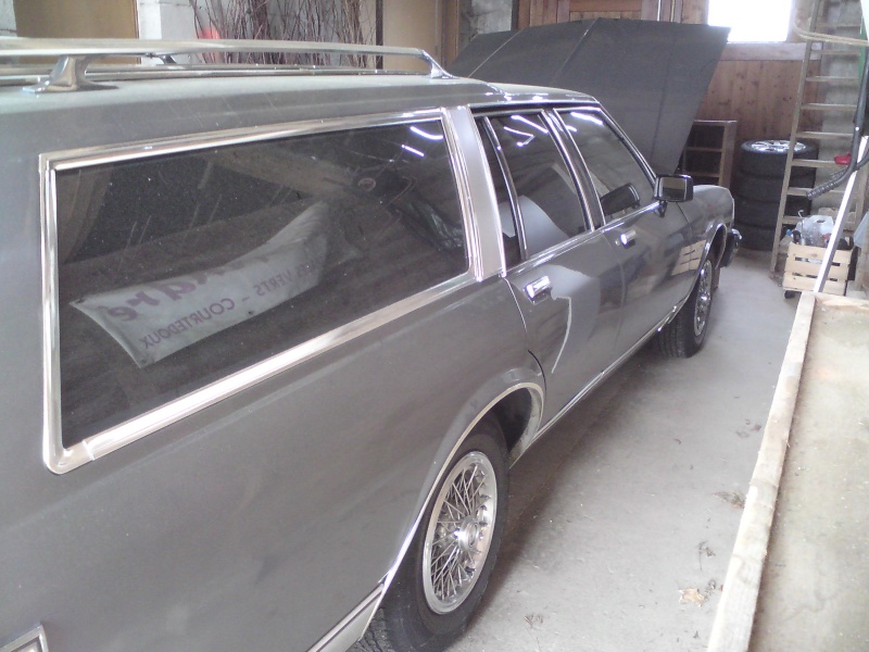 Hearse for my chevy caprice Dsc01119