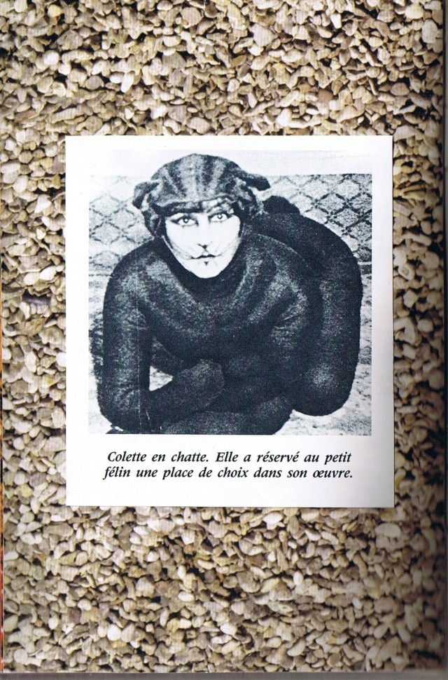 album Colette - Page 3 Carnet16