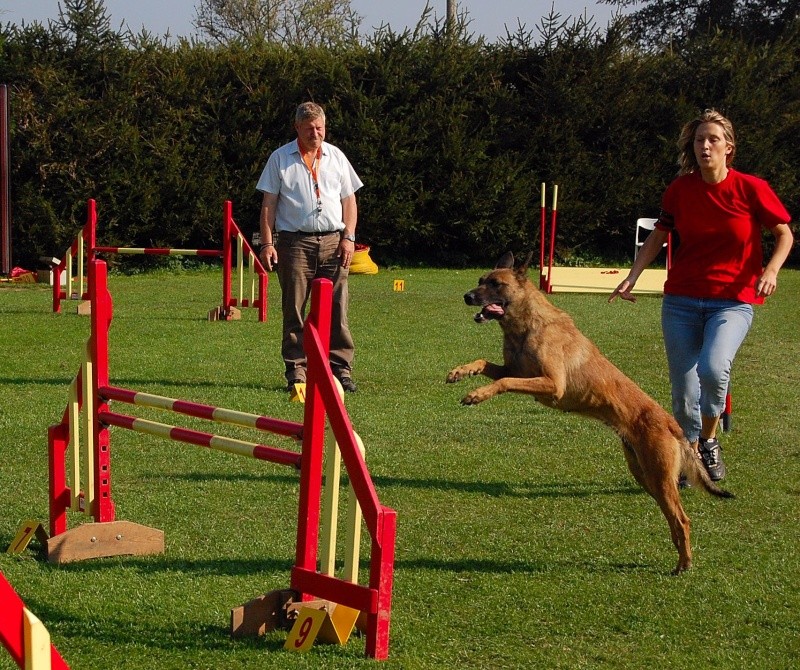 j'me lance... (CELINE/Agility) Concou11