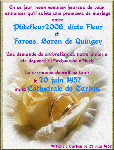 Cérémonie de mariage de Fleur et Faross - 20 juin 1457 Public11