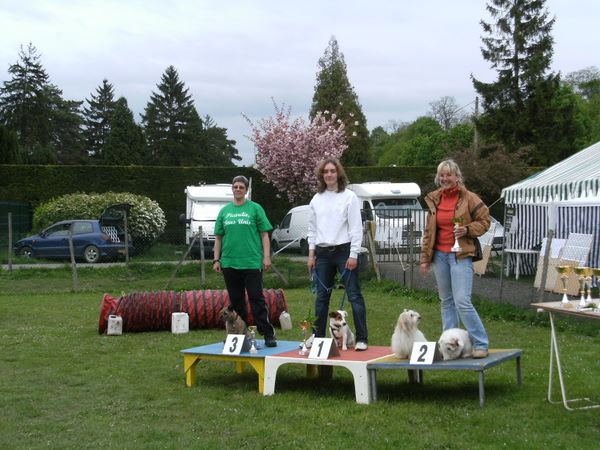 championnat régional d'agility de la picardie Poduim10