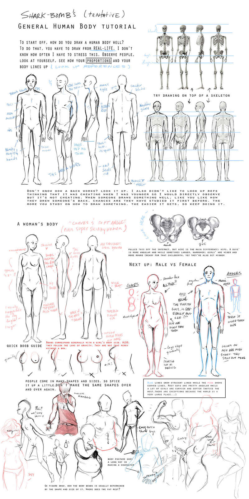 Anatomie du corps humain Genera10