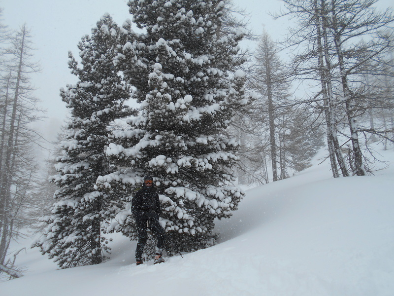 c'est l'hiver au Boréon Cime_d27