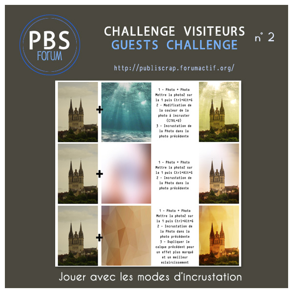 Challenge Visiteurs n°2 Visite11