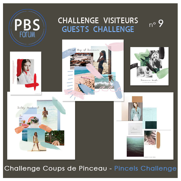 Challenge VISITEURS n° 9 - COUPS DE PINCEAU Visite17